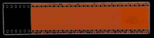 blank film